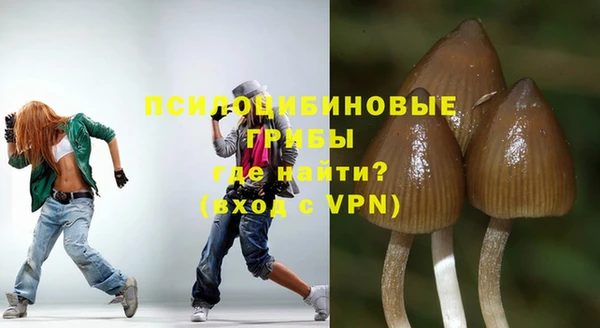 ALPHA-PVP Аркадак