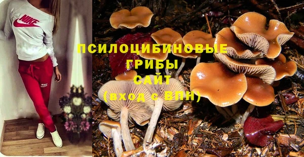 кокс Армянск