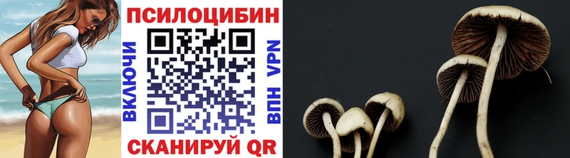 купить закладку  Горнозаводск  Галлюциногенные грибы мицелий 