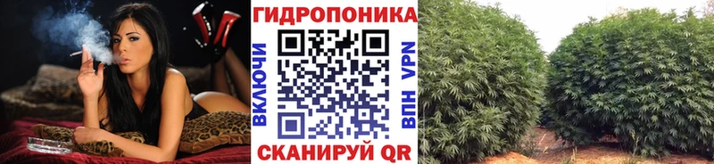 Конопля сатива Горнозаводск